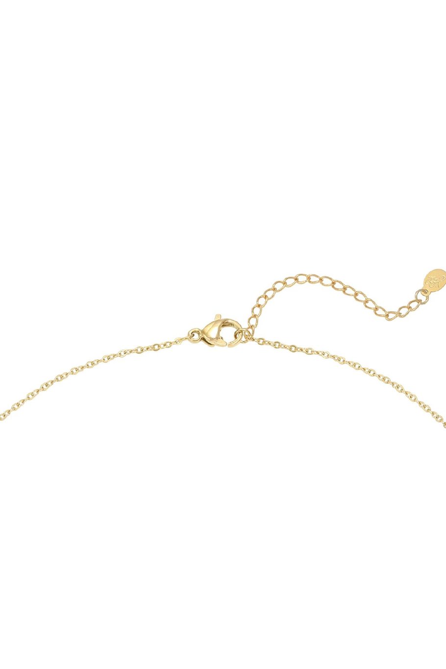 Collar Leading Star Rosa Acero inoxidable Imagen3